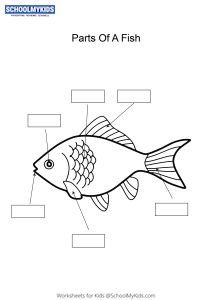 Label and color the parts of a Fish Worksheets for Kindergarten,First,Second Grade - Science Worksheets | SchoolMyKids.com Parts Of A Fish, Fish Worksheet, Classroom Bulletin Boards Elementary, Body Parts For Kids, Counting Backwards, Free Printable Alphabet Worksheets, Worksheet For Kindergarten, Labeling Activities, Second Grade Science