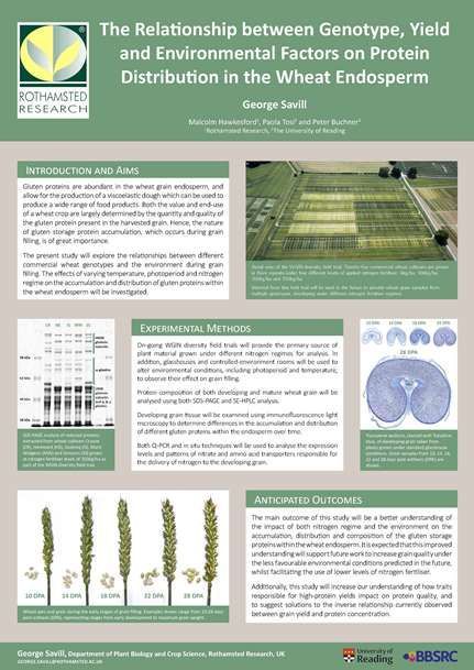 Research Poster Design Template, Creative Research Poster, Scientific Research Poster, Research Poster Design, Research Poster Template, Biotechnology Art, Powerpoint Poster Template, Scientific Poster Design, Academic Poster