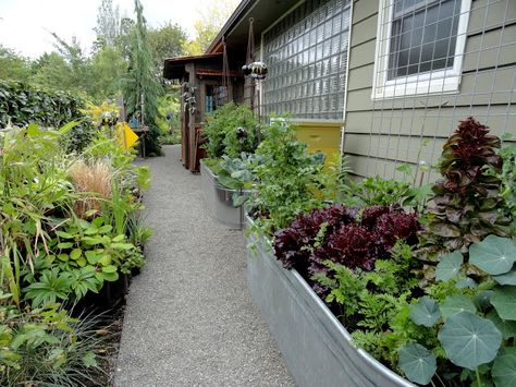 This narrow side yard takes advantage of it's exposure to become a vegetable garden. Front Yards Diy, Online Landscape Design, Side Yard Landscaping, Side Yards, Potager Garden, Patio Inspiration, Side Garden, Dry Creek, Diy Yard