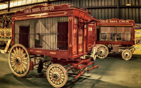 Scary Circus Aesthetic, Vintage Circus Aesthetic, Circus Costumes Women, Circus Cage, Scary Circus, Steampunk Circus, Circus Aesthetic, Halloween Circus, Circus Train