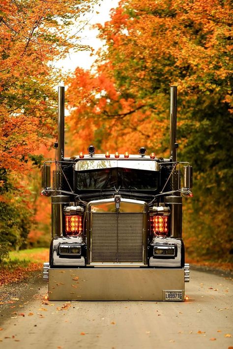 Semi Trucks Humor, Custom Peterbilt, Diesel Pickup Trucks, Peterbilt Truck, Trucks For Sell, Big Ford Trucks, Trucks Lifted Diesel, Peterbilt 389, Automobile Engineering