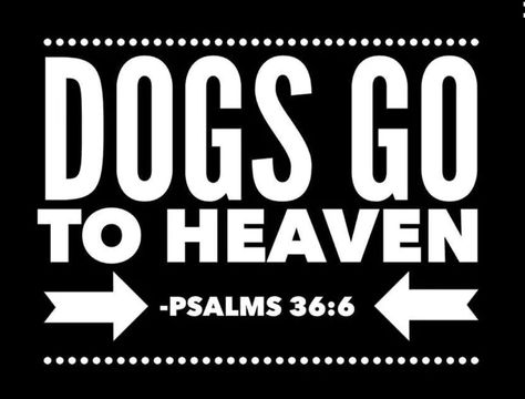 Dogs Go To Heaven, Pet Items, Dog Heaven, Animals Friendship, Labrador Puppy, Obedience Training, Dog Obedience, Dog Signs, Dog Memorial