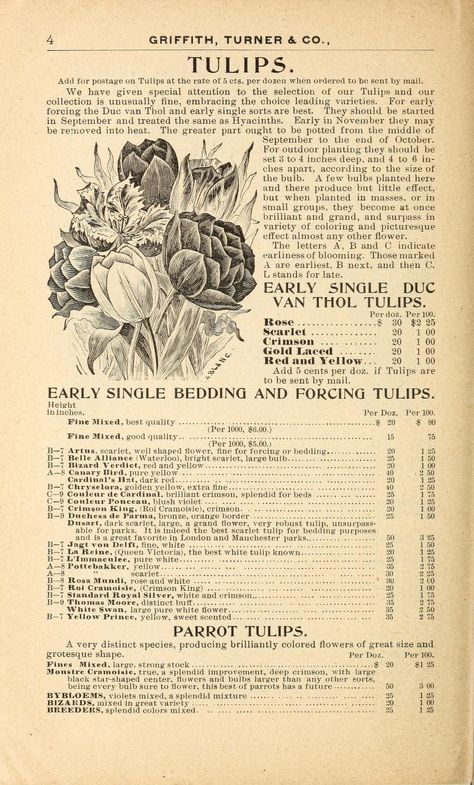 Autumn Posters, Vintage Tulips, Corporate Greed, طابع بريدي, Vintage Newspaper, Picture Collage Wall, Vintage Poster Art, Art Collage Wall, Print Ideas