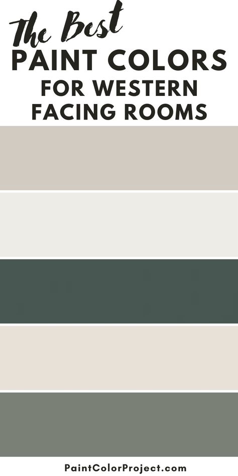 Davies Paint Color, Sunroom Paint Colors, Basement Wall Colors, Best Bedroom Paint Colors, Best Neutral Paint Colors, Warm Paint Colors, Interior Wall Colors, Blue Green Paints, Room Wall Colors