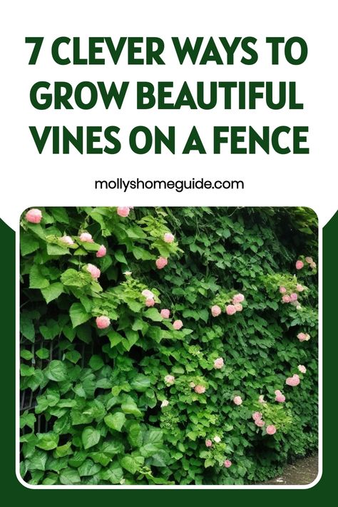 Discover the art of growing vines on a fence with these simple yet effective tips. Transform your outdoor space into a lush green oasis by learning how to cultivate beautiful climbing plants that not only provide privacy but also enhance the visual appeal of your yard. From selecting the right vine species to proper planting techniques, this guide covers everything you need to know to successfully grow vines on your fence. Embrace the natural beauty and charm that vines bring to any garden setti Planting Vines, Green Fence, Growing Vines, Climbing Plants, Mulch, Lush Green, Growing Plants, Clematis, Green Thumb