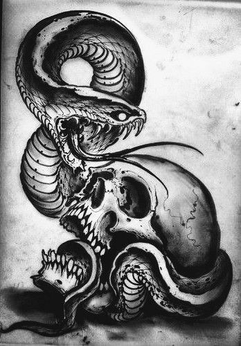 Cobra Tattoo, Skull Art Tattoo, Serpent Tattoo, Skull Sketch, Snake Tattoo Design, Chicano Art Tattoos, Snake Art, Old School Tattoo Designs, Tatuaje A Color