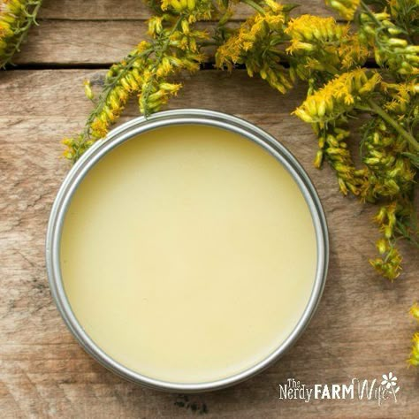 Uses For Goldenrod, Golden Rod Salve Benefits, Golden Rod Tincture Recipe, Goldenrod Salve Uses, Golden Rod Uses, Golden Rod Benefits, Golden Rod Tincture, Goldenrod Salve Recipe, Goldenrod Salve