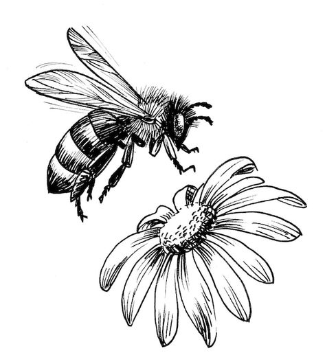 Bee And Flower Drawing, Bee Drawing Easy, Draw Bee, Flying Honey Bee, Honey Bee Drawing, Bee Sketch, Black And White Bee, Blossoming Flower, Bee Artwork