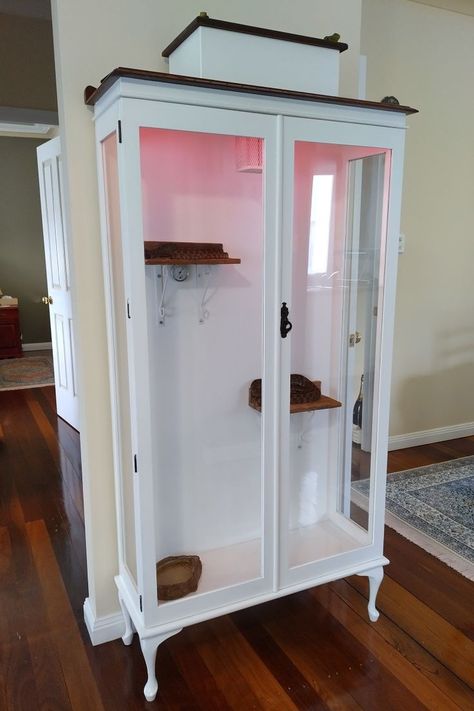 An old glass display cabinet converted to a reptile enclosure. Painted to the Hamptons style. Features LED lighting, shelving made from steel supports and old fence palings, and a top box of MDF to hide electronics. Hide Electronics, Snake Enclosure, Glass Display Cabinet, Old Fences, Reptile Enclosure, Glass Cabinets Display, Hamptons Style, Glass Display, Display Cabinet