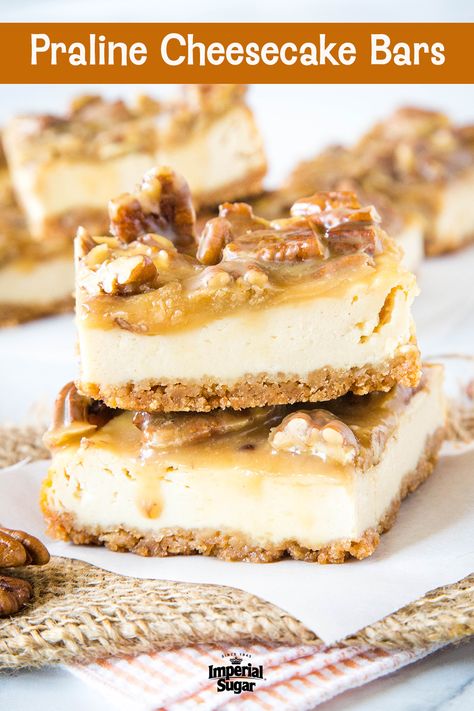 Pecan Praline Bars, Praline Desserts, Praline Cheesecake Bars, Praline Cheesecake Recipes, Praline Bars Graham Cracker, Praline Pecan Cheesecake, Pecan Praline Cheesecake, Pecan Praline Cheesecake Recipe, Caramel Praline Cheesecake