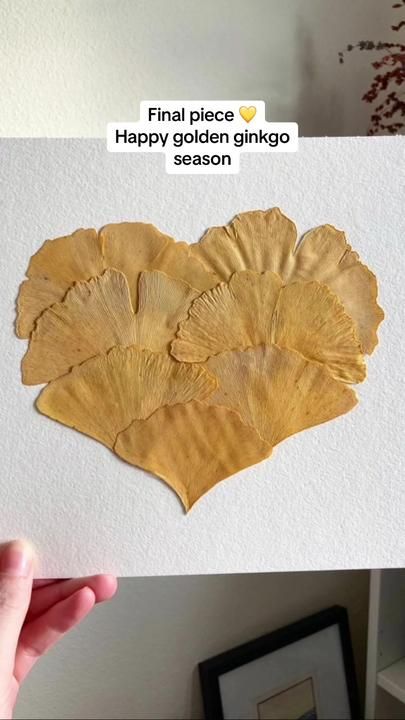 Pressed yellow ginkgo heart, pressed leaf craft ideas | Little Leaf Ink on TikTok Crafts With Ginko Leaves, Ginko Leaf Crafts, Gingko Leaves Art, Ginkgo Leaf Art, Ginko Art, Leaf Craft Ideas, Flower Tips, Leaf Craft, Gingko Leaves