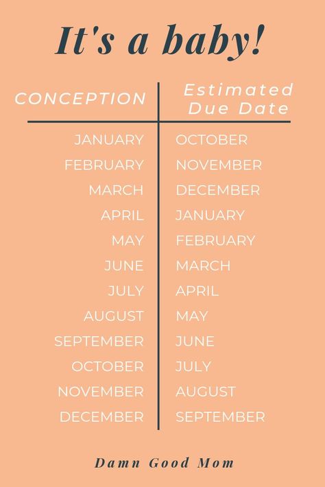 Our due dates are estimates. Here is a common chart of estimated due dates just be mindful that babies come on their own time. Congrats!! #baby #conception #pregnancy #damngoodmom Pregnancy Chart Conception, Pregnancy Month Chart, Conceiving Chart Months, Baby Planning Timeline, Pregnancy Preparation Timeline, Baby Conception Chart, Conception Month Birth Month, Pregnancy Planning Timeline, Planning For Pregnancy