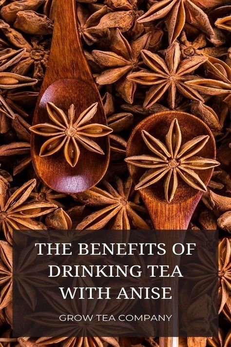 Anise Tea Benefits, Anise Benefits, Onion Tea, Star Anise Tea, Anise Tea, Homemade Face Toner, Lacto Vegetarian, Healthy Coffee Creamer, Natural Medicine Recipes