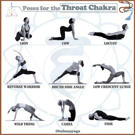 Halona Yoga 🌙 on Instagram: “Visuddha | Throat Chakra: Your power to communicate [➡️swipe for affirmations] | Boğaz Çakrası: İletişimdeki gücün | Hals-Chakra: Deine…” Throat Chakra Yoga, Nada Yoga, Chakra Flow, Yoga For Mental Health, Yoga Thoughts, All Yoga Poses, Vishuddha Chakra, Yoga Flow Sequence, Throat Chakra Healing