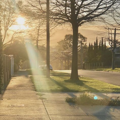 Traffic Lights Aesthetic, Sunny Day Photography, Aesthetic Birds, Perspective Landscape, Sunrise City, Lights Aesthetic, Warm Aesthetic, Sun Aesthetic, Yellow Pastel