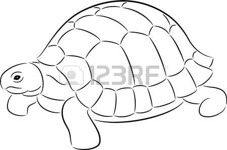 Line Drawing Turtle, Tortoise Drawing, Drawing Pics, Outline Pictures, Animal Line Drawings, Art Turtle, Turtle Images, Wood Yard Art, Animal Templates