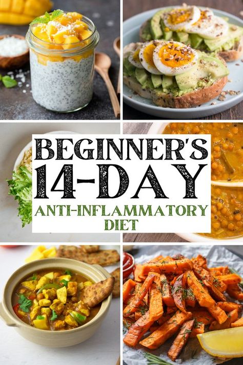 Embark on a 14-day anti-inflammatory diet designed specifically for beginners. This plan includes delicious recipes, simple meal schedules, and effective tips to lower inflammation and enhance your wellness. Perfect for those new to this lifestyle, start eating healthier today! Beginner Anti Inflammation Diet, Recipes For Anti Inflammation, Recipes To Lower Inflammation, Low Inflammation Recipes Easy, Deflame Diet Recipes, Non Immflamatory Meals, Perfect Day Of Eating, Anti Inflammation Diet Meals, Adrenal Fatigue Diet Meal Plan