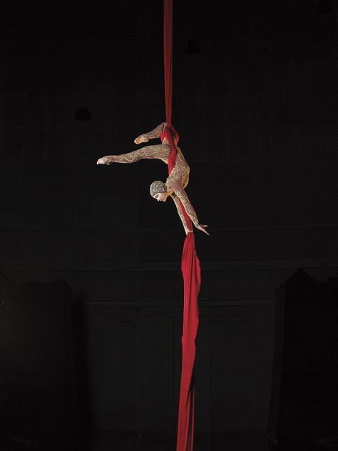 Downtown Disney Orlando, Aerial Costume, Circus Aesthetic, Aerial Silk, Dark Circus, Day Of Dead, Aerial Acrobatics, Boris Vallejo, Night Circus