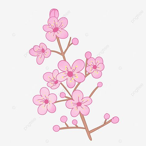 Plum Blossoms, Beautiful Flowers Photos, Christian Stickers, Digital Drawings, Pink Houses, Flower Clipart, Vector Drawing, Plum Blossom, Flower Photos