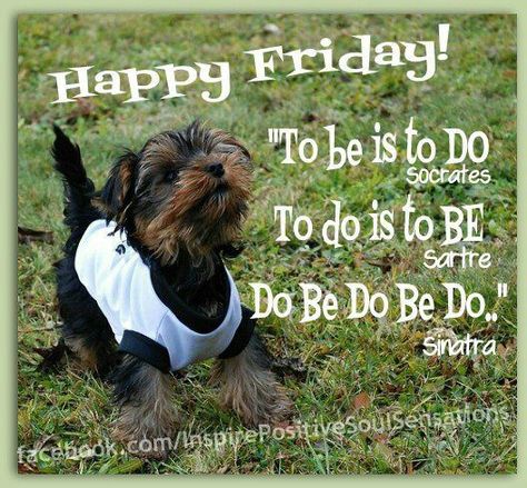 Friday Funny Friday Morning Quotes, Back To Work Humour, Happy Friday Humour, Made It To Friday, Friday Morning Quotes, Silly Quotes, Work Funny, Dog Comics, Afternoon Quotes