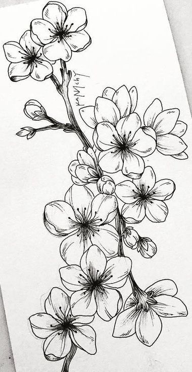 Flower Line Drawings, Flower Art Drawing, Blossom Tattoo, White Drawing, Flower Sketches, Floral Drawing, Seni Cat Air, Black And White Drawing, Flower Art Painting