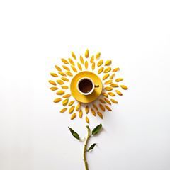 . . . . 「 Coffee Flower / Sunflower 」. . . . Sunflower Cafe, Stop Motion Photography, Flower Sunflower, Motion Photography, Coffee Flower, Fantasy Photography, Design Sponge, Modern Farmhouse Style, Coffee Quotes