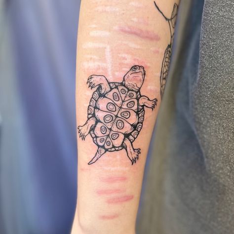 Megan Kennedy | 🐢Baby red eared slider🐢 Thanks as always Camryn ☺️ Books are… | Instagram Red Eared Slider Tattoo, Red Eared Slider Turtle, Portland Tattoo, Slider Turtle, Stamp Tattoo, Red Eared Slider, Baby Red, Turtle Tattoo, Crochet Animals Free Patterns