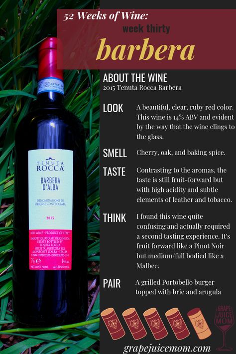 Barbera Wine, Pea Protein Powder, European Recipes, 52 Weeks, Grape Juice, Pea Protein, Wine Pairing, Sauvignon Blanc, Cabernet Sauvignon