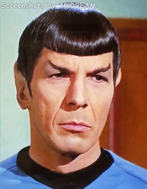 Spock Star Trek, Leonard Nimoy Spock, Star Trek Actors, Fandom Star Trek, Star Trek Wallpaper, Star Treck, Star Trek Cast, Star Trek 1, Star Trek 1966