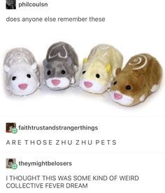 Zhu Zhu Pets, Zhu Zhu, Right In The Childhood, Childhood Memories 2000, Fever Dream, 2000s Nostalgia, What’s Going On, Tumblr Funny, Funny Cute