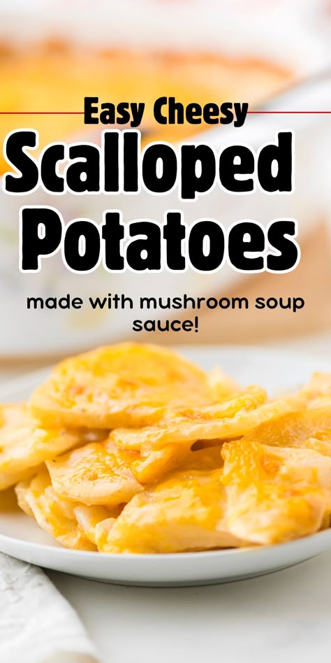 Easy Cheesy Scalloped Potatoes with Mushroom Soup Recipe Easy Scalloped Potatoes Made With Cream Of Mushroom Soup, Scallop Potatoes With Mushroom Soup, Campbells Cheddar Cheese Soup Scalloped Potatoes, Campbells Soup Scalloped Potatoes, Cream Of Mushroom Soup Potatoes, Cream Of Potato Recipes, Scalloped Potatoes With Mushroom Soup Easy, Scalloped Potatoes Without Heavy Cream, Scalloped Potatoes Without Milk
