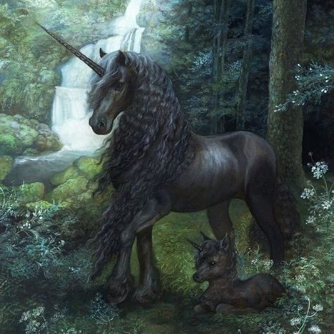 THE BLACK FOREST UNICORN BY ANNIE STEGG Annie Stegg, Unicorn Artwork, Dragon Horse, April Art, Unicorn And Fairies, Magical Horses, Black Unicorn, Unicorn Pictures, Fantasy Horses