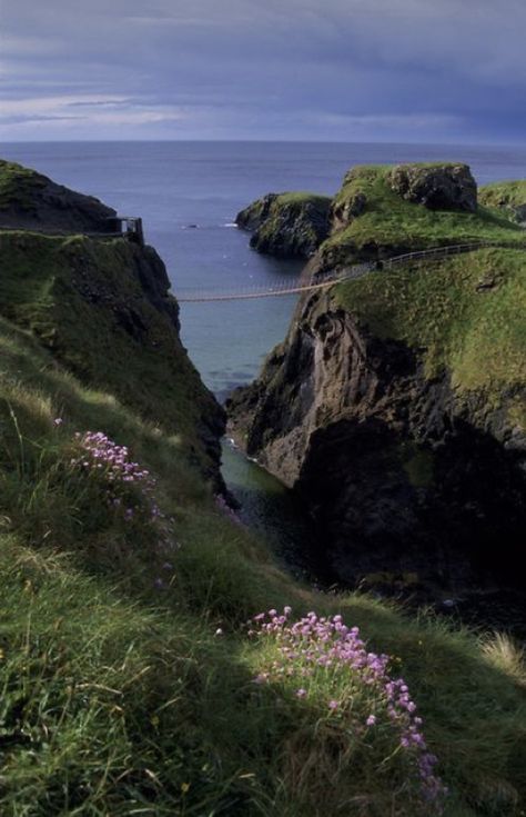 Carrick-a-Rede rope bridge, Co. Antrim North Ireland, Rope Bridge, Beautiful Ireland, Dark Hedges, Ireland Landscape, Ireland Scotland, Emerald Isle, Travel Images, Ireland Travel