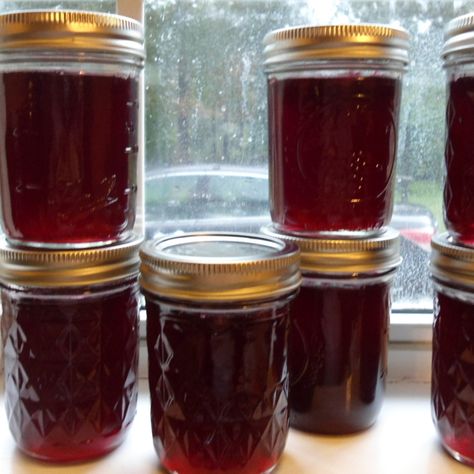 I love living in the country! We have wild muscadine grapes growing in the trees at my house. If only I could reach the very tip top but I got a lot for some homemade jelly! It was fun from start to finish! Muscadine Jelly Recipe, Muscadine Recipe, Planting Grapes, Muscadine Jelly, Kfc Biscuits, Muscadine Grapes, Grapes Growing, Jam Canning, Grape Growing