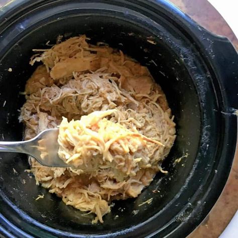 Onion Chicken Crockpot, Vidalia Onion Chicken, Slow Cooker Shredded Chicken, Learn To Live, Onion Chicken, Vidalia Onions, Menu Plan, Easy Instant Pot Recipes, Onion Recipes