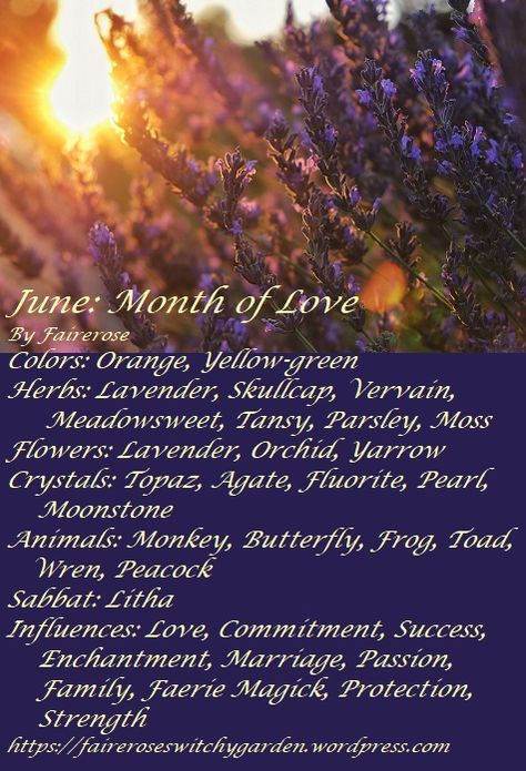 Wicca Holidays, Witchy Garden, June Flower, Thank You Happy Birthday, Happy June, Month Of Love, Mighty Oaks, Sun Shining, Days Of The Year