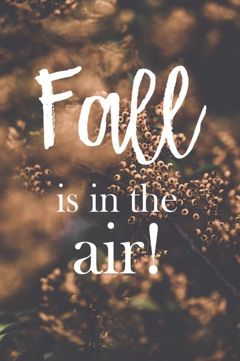 Fall is in the air! Fall Is In The Air Quotes, Air Wallpaper, Air Quotes, Fall Is In The Air, Fall Weather, Iphone Wallpapers, Calm Artwork, Iphone Wallpaper, Keep Calm Artwork