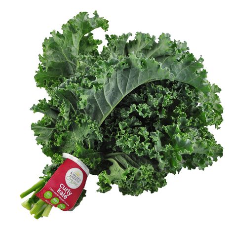 Alkaline Vegetables, Green Onions Recipes, Curly Kale, Collard Greens Recipe, Dairy Free Smoothies, Green Kale, Breakfast Appetizers, Quick Dishes, Turnip Greens