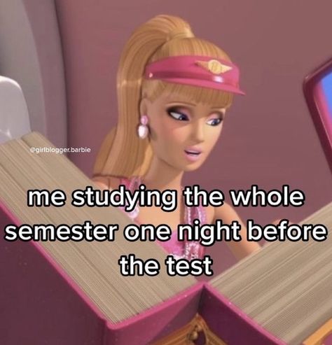 Barbie Meme, Barbie Funny, Aesthetic Tiktok, Barbie Life, School Memes, Relatable Post Funny, Very Funny Pictures, Whisper Confessions, Quick Jokes