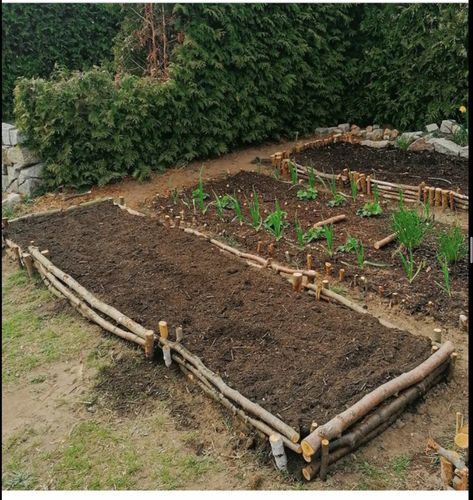 Garden Plants Ideas, Future Garden, Plants Ideas, Potager Garden, Garden Area, Veg Garden, School Garden, Home Vegetable Garden, Farm Stand