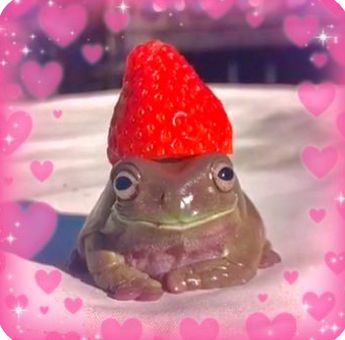 Frog Profile, Frog With Strawberry, Frog Strawberry, Strawberry Frog, Strawberry Hat, Cute Frog, A Frog, Profile Pic