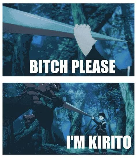 Bitch please, I'm Kirito. #SAO #Sword Art Online Sao Funny, Swords Art Online, Swords Art, Sao Memes, Sao Ggo, Kirito And Asuna, Sao Anime, Kirito Asuna, Anime Things