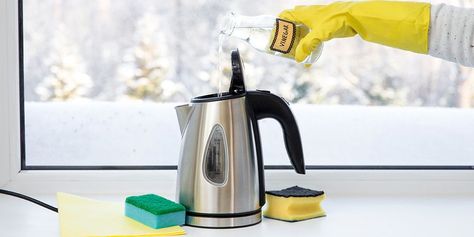 How to descale a kettle: kettle cleaning tips - Which? Dishwasher Smells Bad, Dishwasher Smell, Using Vinegar To Clean, Clean Stove, Kitchen Chores, Vinegar Cleaning, Vinegar And Water, Distilled White Vinegar, Pantry Items