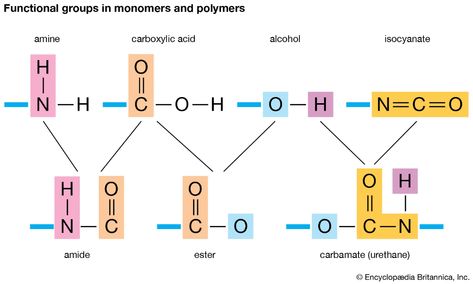 polymer (chemistry) - Videos and Images | Britannica Nettle Plant, Polymer Chemistry, Hydrogen Atom, Functional Group, Carboxylic Acid, Induce Labor, Silicone Caulk, Stinging Nettle, Plant Cell