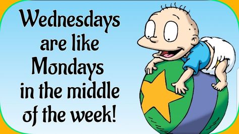 Wednesdays are like Mondays in the middle of the week Good Morning Quote, Morning Quote, Cartoon World, Funny Cartoon Quotes, Cartoon Quotes, Funny Cartoon, Morning Quotes, In The Middle, The Middle