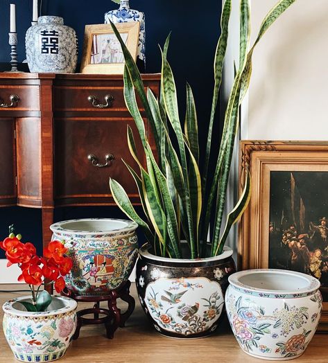 Anda • House Of Andaloo on Instagram: “I may have developed a little bit of a fishbowl planter obsession🙈 I just got these and I’m having a hard time parting with them. I want…” Fishbowl Planter, Chinoiserie Chic Decor, Chinoiserie Chic, Fish Bowl, Hard Time, Chic Furniture, House Inspo, Flower Pot, Chinoiserie