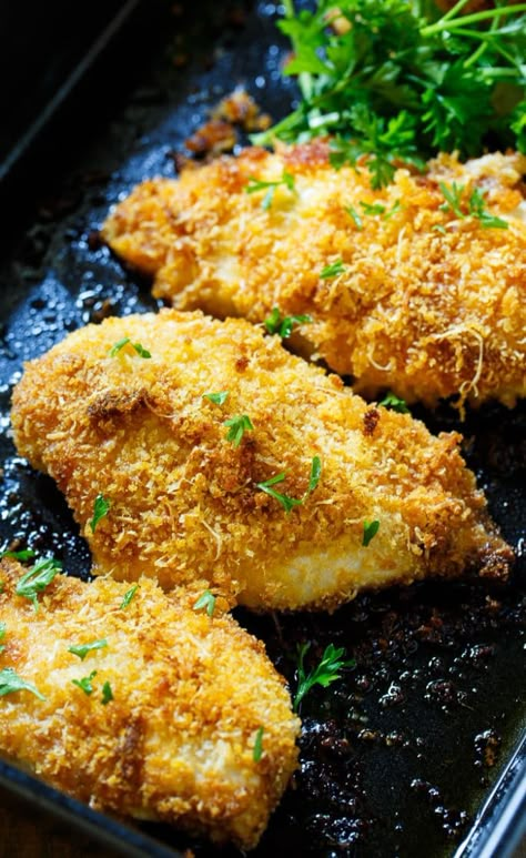 Baked Parmesan Chicken is coated in mayonnaise and then parmesan cheese and Panko crumbs. The most delicious baked chicken! Recipes With Parmesan, Baked Chicken Breast Recipes, Baked Parmesan Chicken, Baked Parmesan Crusted Chicken, Recipes With Parmesan Cheese, Chicken Parmesan Recipe Baked, Oven Baked Chicken Parmesan, Chicken Baked, Baked Chicken Tenders