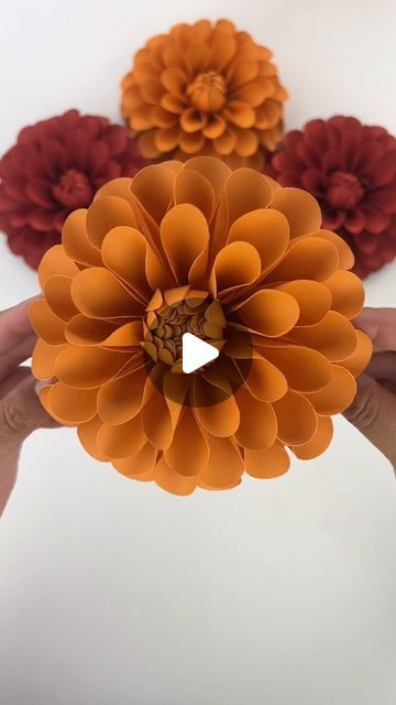 Judy Lam on Instagram: "I’m loving the cooler weather and I’m so ready for all the fall things! How about you, are you excited? I’m looking forward to all the fall crafts, paper flowers, trunk or treats, everything!

This Paper Dahlia Template (“Mini Dahlia 2”) is available in my Etsy shop, link in bio!

#spookyseason #paperflowers #cricut #cricutmade #cricutcreations #cricutcrafts #teamcricut #makeitwithmichaels #makersgonnamake #craftersgonnacraft #halloweendecor #pumpkineverything #etsyfinds #spookyszn #handmade #handmadewithlove #fallvibes #fallinspo #halloweenvibes #falldecor #halloweendiy #halloweenideas #foryou #igdaily #explorepage #halloweeninspo #pumpkinseason #fallcrafts #fallcolors #pumpkinspice" Fall Paper Flowers Cricut, Dahlia Template, Paper Dahlia, Thanksgiving Paper, Autumn Paper, Crafts Paper Flowers, Diy Thanksgiving, Fall Things, Fall Inspo