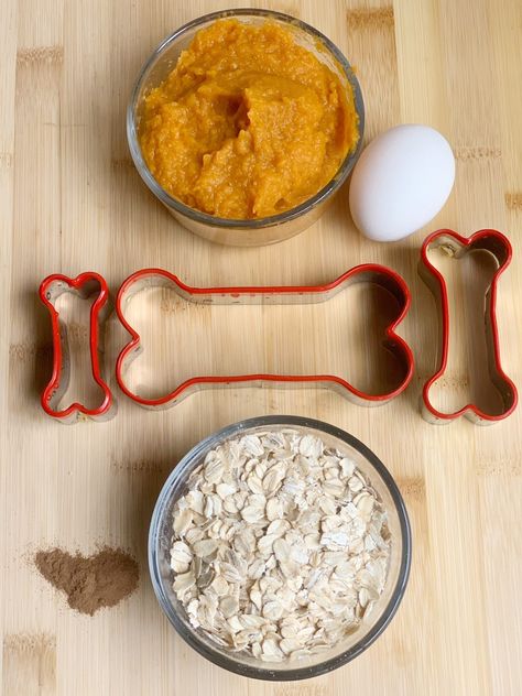 Made with just 3 ingredients + cinnamon, this oatmeal pumpkin dog treat recipe is a healthy alternative to store-bought treats. Pumpkin Oat Dog Treat Recipe, Dog Treats With Oatmeal, Healthy Pumpkin Dog Treats, Easy Pumpkin Treats For Dogs, Pumpkin Dog Recipes, Easy Dog Treat Recipes Simple, Zucchini Dog Treat Recipes, Homemade Pumpkin Dog Treats Easy, Pumpkin Blueberry Dog Treats