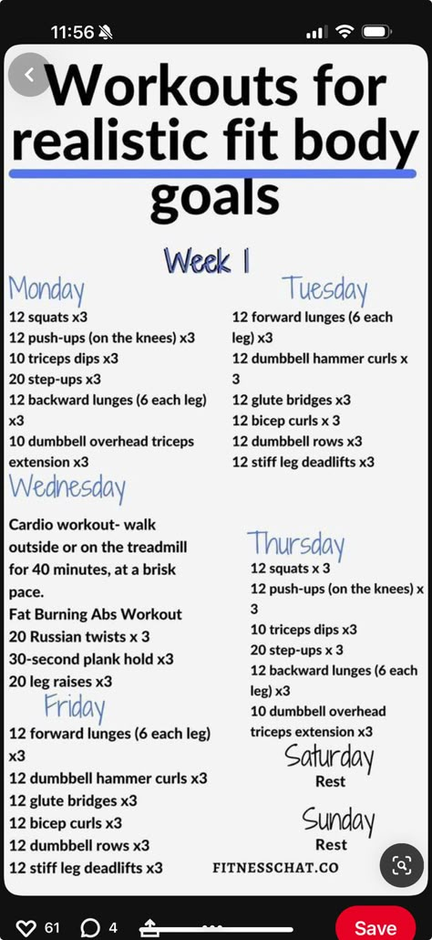 At Home Gym Workout Plan, Simple Workout Plan At Home, 6 Week No Gym Home Workout Plan, Weekly Body Weight Workout Plan, Slim Down Waist Workout, Womens Workout Plan Home, Body Resistance Workout At Home, Workouts For Realistic Fit Body Goals, Realistic Workout Schedule